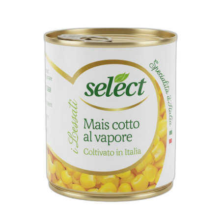 SELECT MAIS COTTO A VAPORE TRIS GR 160X3