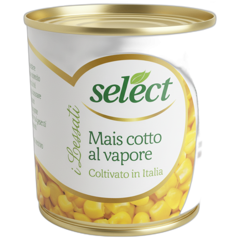 SELECT MAIS COTTO A VAPORE TRIS GR 160X3