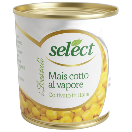 SELECT MAIS COTTO A VAPORE TRIS GR 160X3
