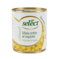 SELECT MAIS COTTO A VAPORE TRIS GR 160X3