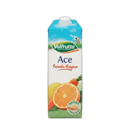 SUCCO BRIK 1.5L ARANC.ROSSA