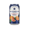 ARANCIATA SAN PELLEGRINO LA